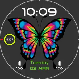 Vlinder v0.1_2020