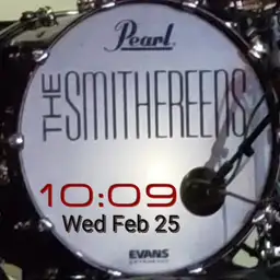 The Smithereens Digital