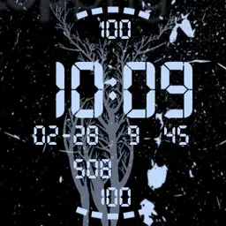 Ticwatch pro essential stabel