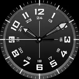 Brute QUADRANT Military Field Watch