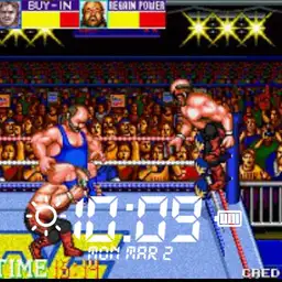 wwf wrestlefest