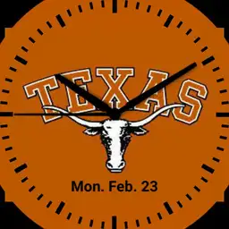 Texas Longhorns