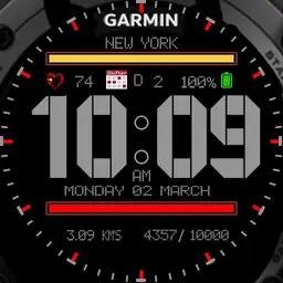 Garmin watch Copy 2