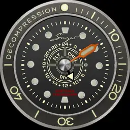 Singer Divetrack SR401 Diver Field Watch Bezel