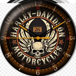 Vintage Skull Harley Davidson