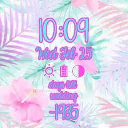 Hawaiian Copy