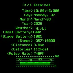 Terminal