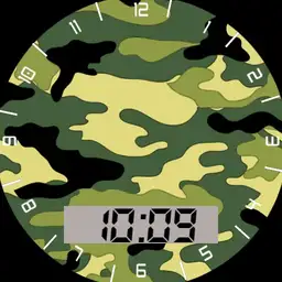 chameleon camo