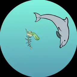 dolphin