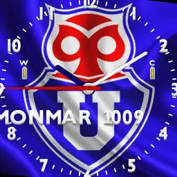 Universidad de Chile - Bandera