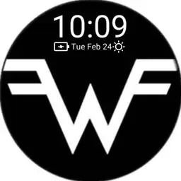 weezer flying w