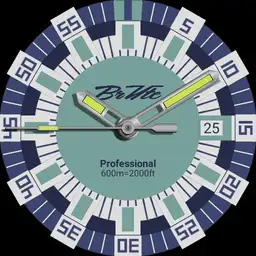 Brute Professional Diver Military Field Watch Colours