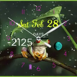 my frog