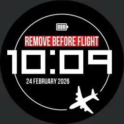 REMOVE BEFORE FLIGHT