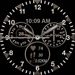 ticwatch pro