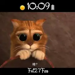 Le chat Pott