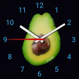 avocado v1.3