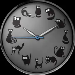 12 Black Cats
