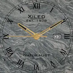 Naturalist Stone