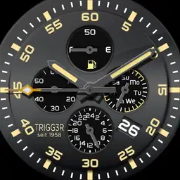 Trigg3r Pilote