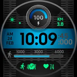 MH 100
