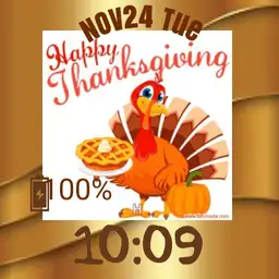 Turkey Thanksgiving