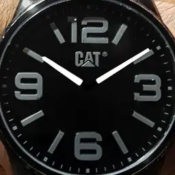 Caterpillar Analog