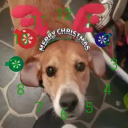 A Della Christmas Copy