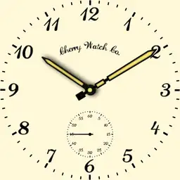 Pocket watch Style
