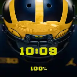 Covy Michigan Wolverines round