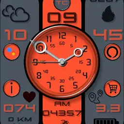 MI WATCH
