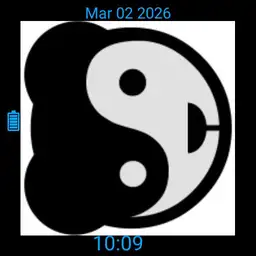 Panda Yin Yang