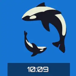 Oh whale - Animated