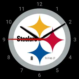 Pittsburgh Steelers