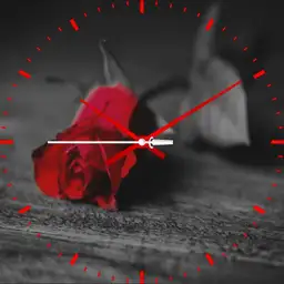 RED ROSE