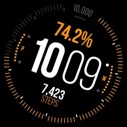 Fitnessmeter
