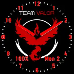 Pokemon Team Valor