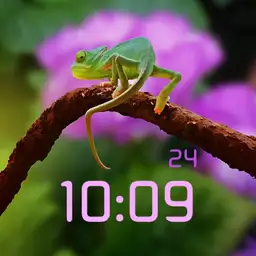 Floral Chameleon