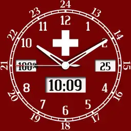 Swiss Watch 1