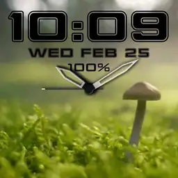 Nature Watch