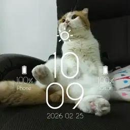 Mr. Meuw