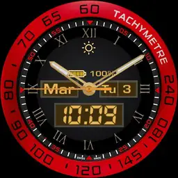 PA WATCH 6 Copy