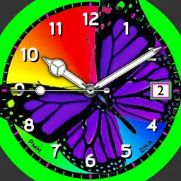Butterfly Countdown
