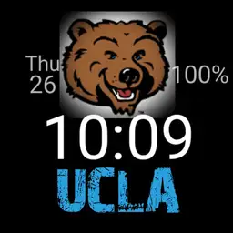 UCLA Analog