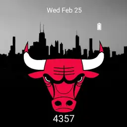 bulls1