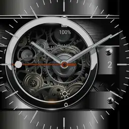 EV Silver gears