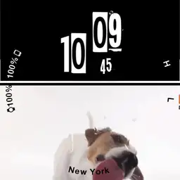 screen licking