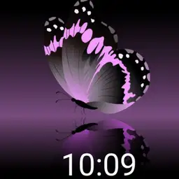 butterfly