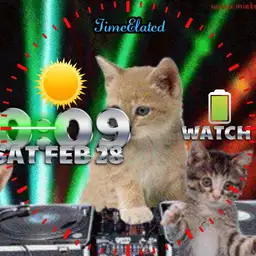 Dj Cat