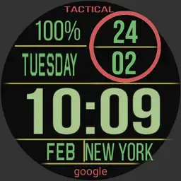 Garmin Alek Tactical Copy5